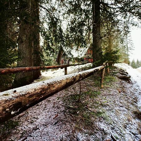 Chalet Stara Jelka Pokljuka Zgornje Gorje Exterior foto